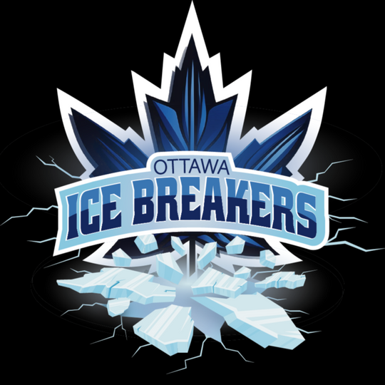 Basic Logo Design Package